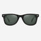 Square Wayfare PC or CP  Men's Sunglasses Rey